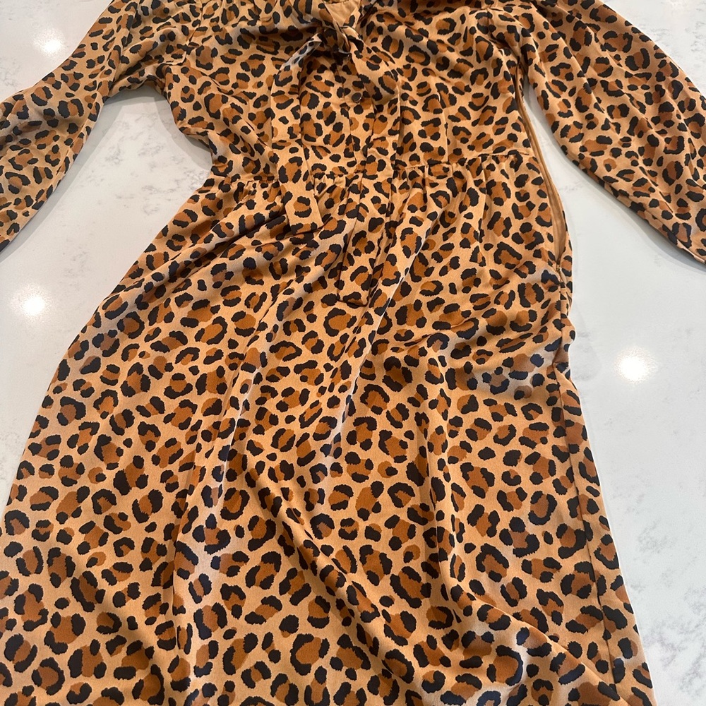 Leopard Print Long Sleeve Dress